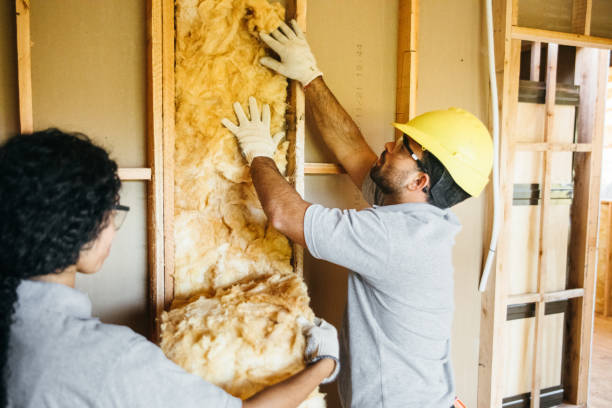 Best Eco-Friendly or Green Insulation Solutions  in Morris Plains, NJ